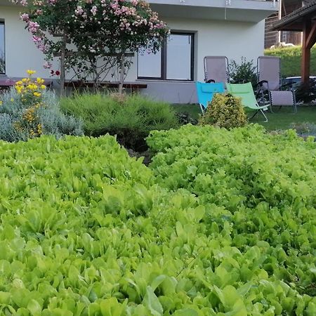 Apartma Na Ravnicah Cerkno Luaran gambar