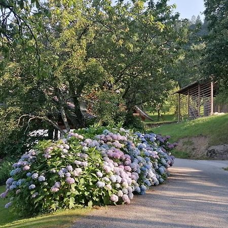 Apartma Na Ravnicah Cerkno Luaran gambar