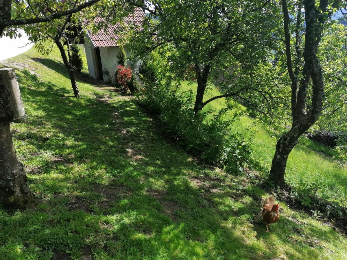Apartma Na Ravnicah Cerkno Luaran gambar